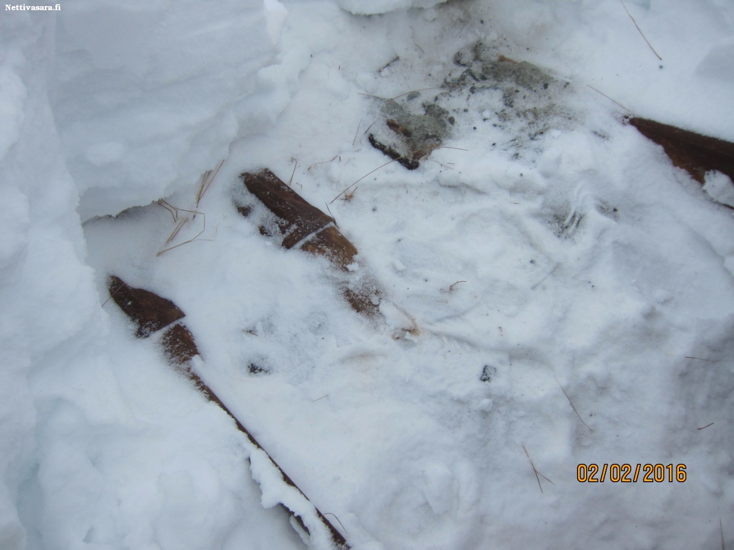lappland goldminers lappland goldminers